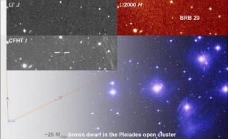 Composición de imágenes: enanas marrones en las Pléyades 7989