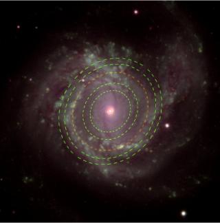 Imagen de Messier 61, una de las galaxias estudiadas. Superpuestos, están trazados los anillos de ondas obtenidos en esta galaxia. //Fuente: SLOAN + IACbia 8245