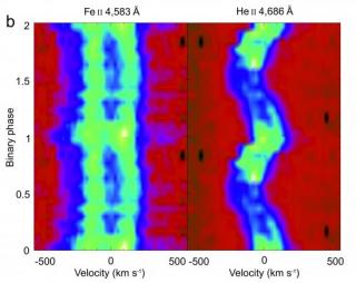 Figure 1: Trailed intensity image showing the orbital evolution of two emission lines in MWC 656. Fe II 4,583 Å is formed in the equatorial disc of the Be star while He II 4,686 Å arises from gas encircling the companion black hole. Figure 1: Trailed intensity image showing the orbital evolution of two emission lines in MWC 656. Fe II 4,583 Å is formed in the equatorial disc of the Be star while He II 4,686 Å arises from gas encircling the companion black hole.