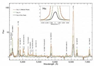 Average, normalized spectra corresponding to days 9 to 11 of the outburst. During this period the X-ray, optical and radio fluxes dropped by three orders of magnitude from the outburst peak. The spectra are very rich in emission lines that, while typical Average, normalized spectra corresponding to days 9 to 11 of the outburst. During this period the X-ray, optical and radio fluxes dropped by three orders of magnitude from the outburst peak. The spectra are very rich in emission lines that, while typical