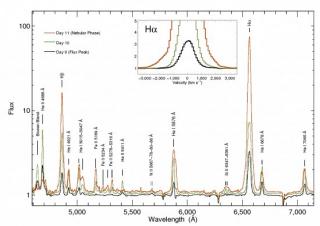 Average, normalized spectra corresponding to days 9 to 11 of the outburst. During this period the X-ray, optical and radio fluxes dropped by three orders of magnitude from the outburst peak. The spectra are very rich in emission lines that, while typical 