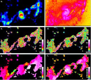 Images of the bar of galaxy NGC 1530 obtained using the TAURUS instrument at the WIlliam Herschel telescope at the Observatorio del Roque de los Muchachos