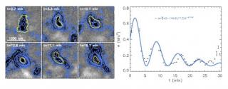 Left: time evolution of a weak circular polarization patch. The black and white background represents the magnetic flux density computed in the weak field approximation, saturated to +- 20 Mx cm-2. Blue lines represent iso-magnetic flux densities of -130, Left: time evolution of a weak circular polarization patch. The black and white background represents the magnetic flux density computed in the weak field approximation, saturated to +- 20 Mx cm-2. Blue lines represent iso-magnetic flux densities of -130,