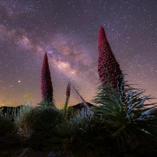 Cielo nocturno