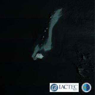 False-colour satellite image of the Arabian Sea showing an extensive light-coloured oil slick next to the Caroline Bezengi tanker and near an island in Oman’s Al Hallaniyat archipelago.