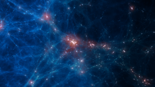Protocluster z2.8 gradient from gas density and temperature to stars Project Image