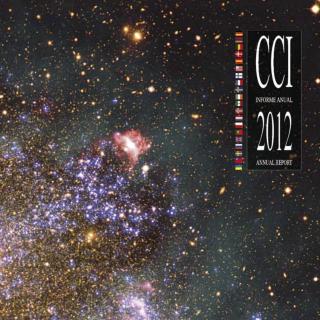 Informe anual CCI 2012
