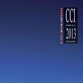 Informe anual CCI 2013