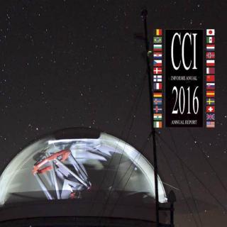Annual report CCI 2016